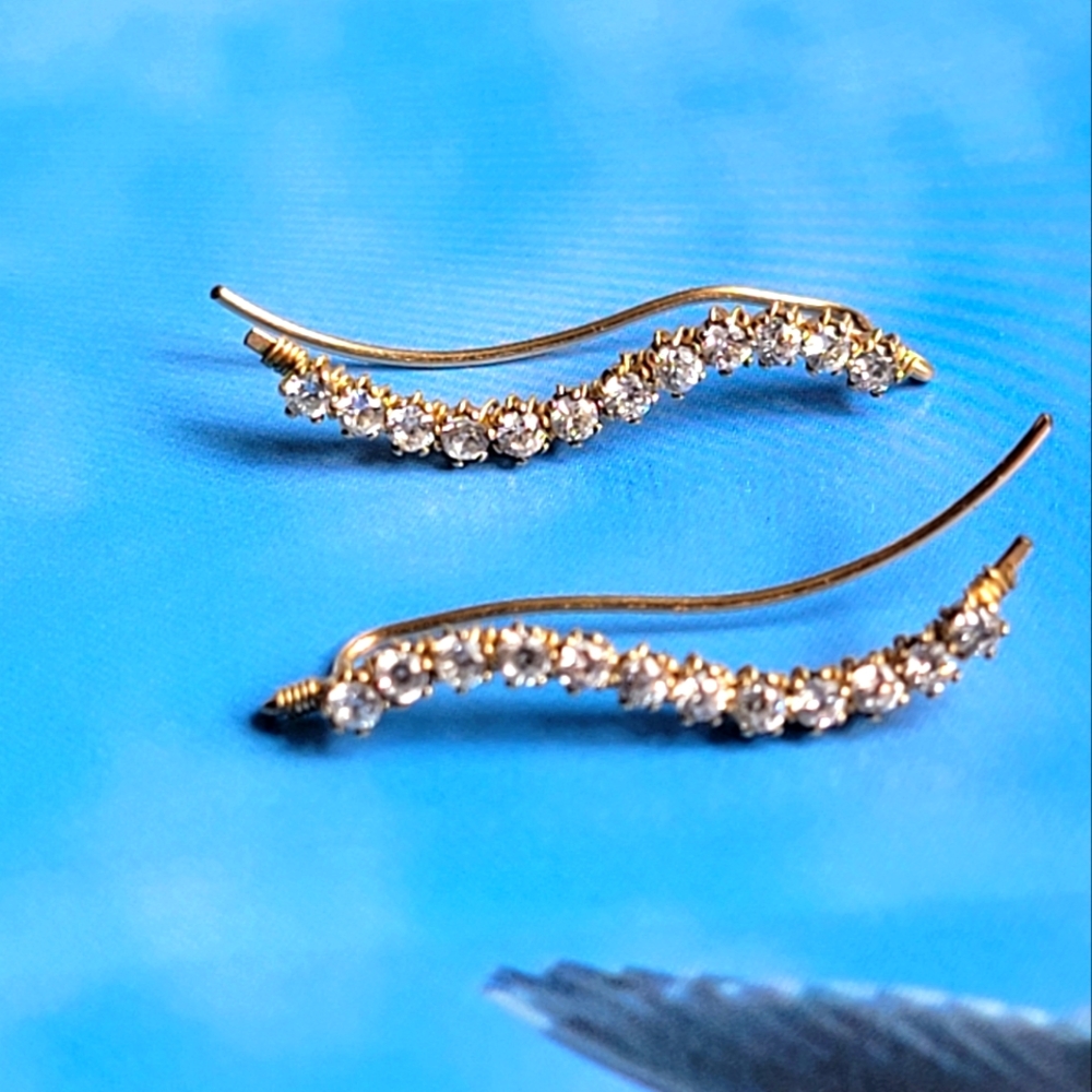S-shape Earrings